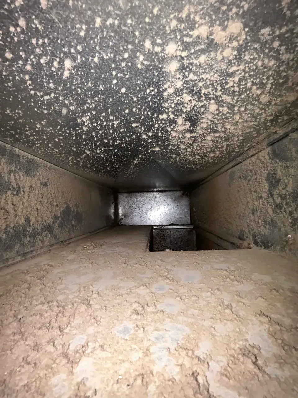 Before: thick dust coating the top, sides and floor of a duct